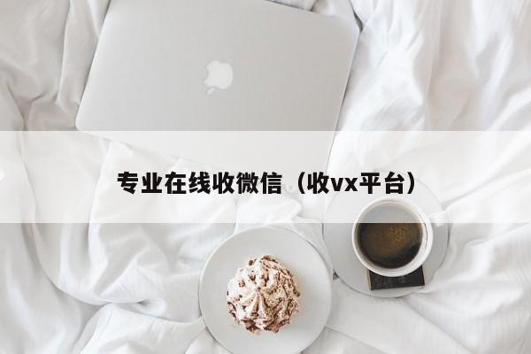 专业在线收微信（收vx平台）