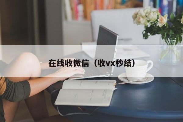 在线收微信（收vx秒结）